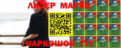 прущие грибы Краснокаменск