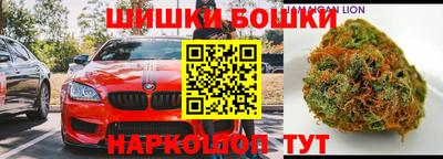 прущие грибы Краснокаменск