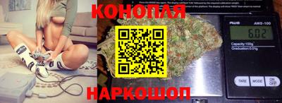 прущие грибы Краснокаменск